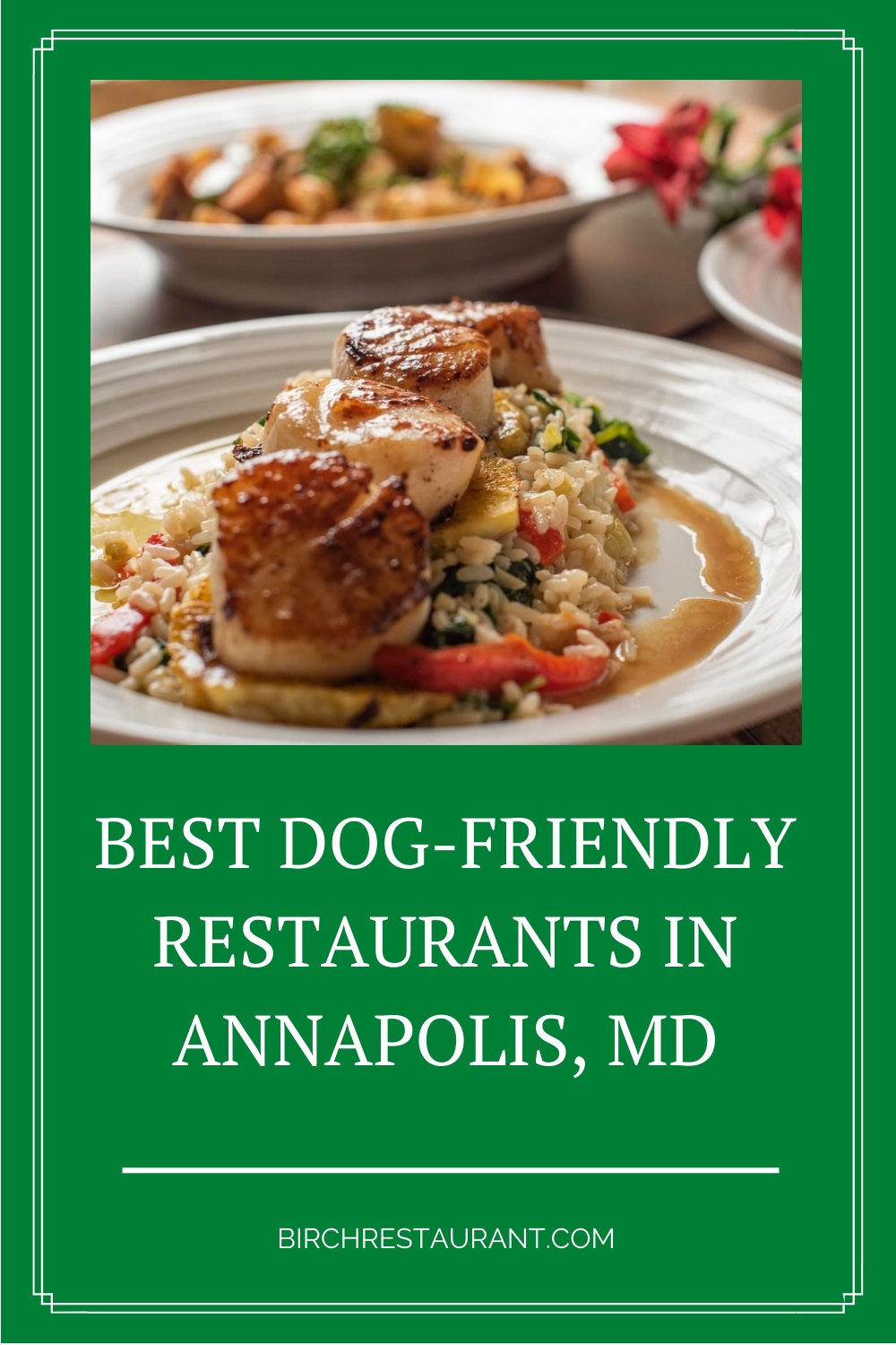 Dog-Friendly Restaurants in Annapolis, MD