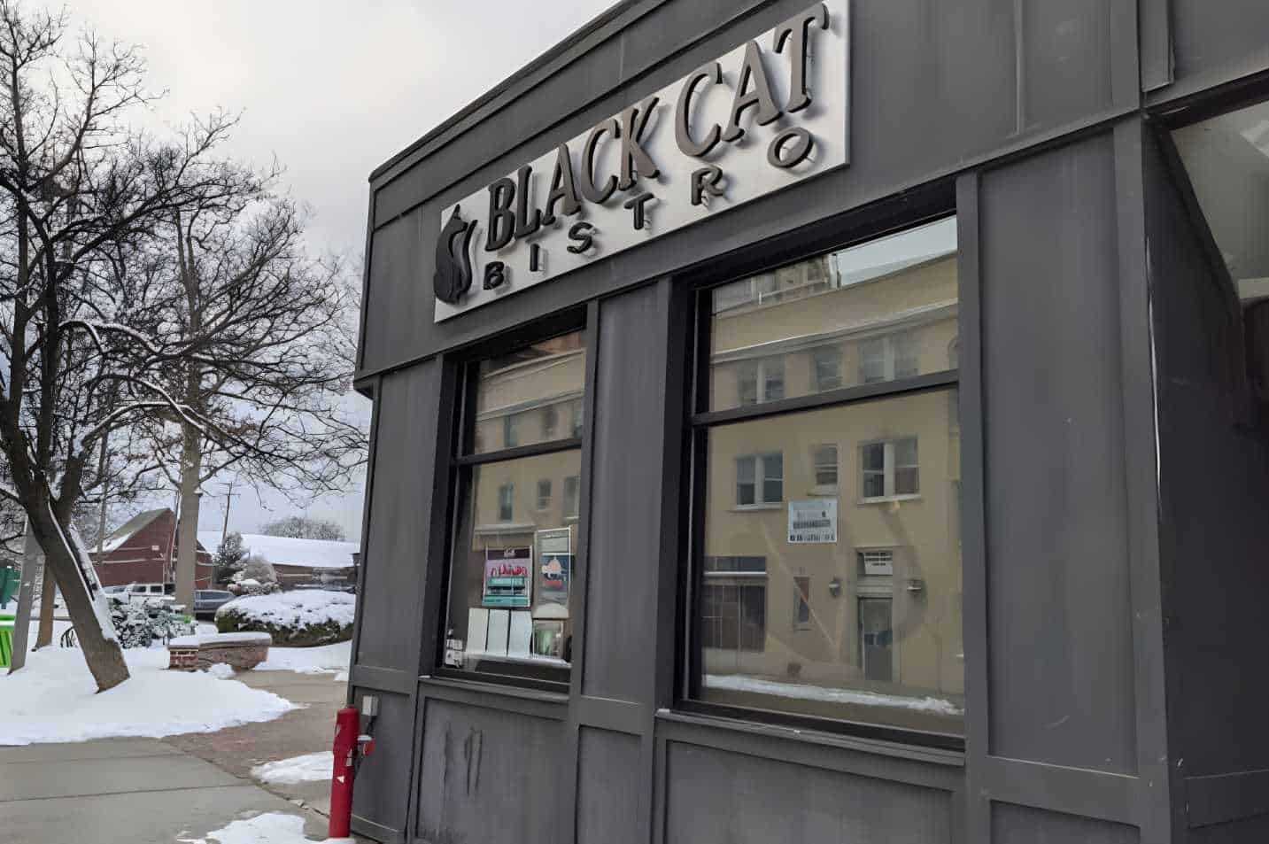 The Black Cat Bistro Best Restaurants in East Lansing, MI