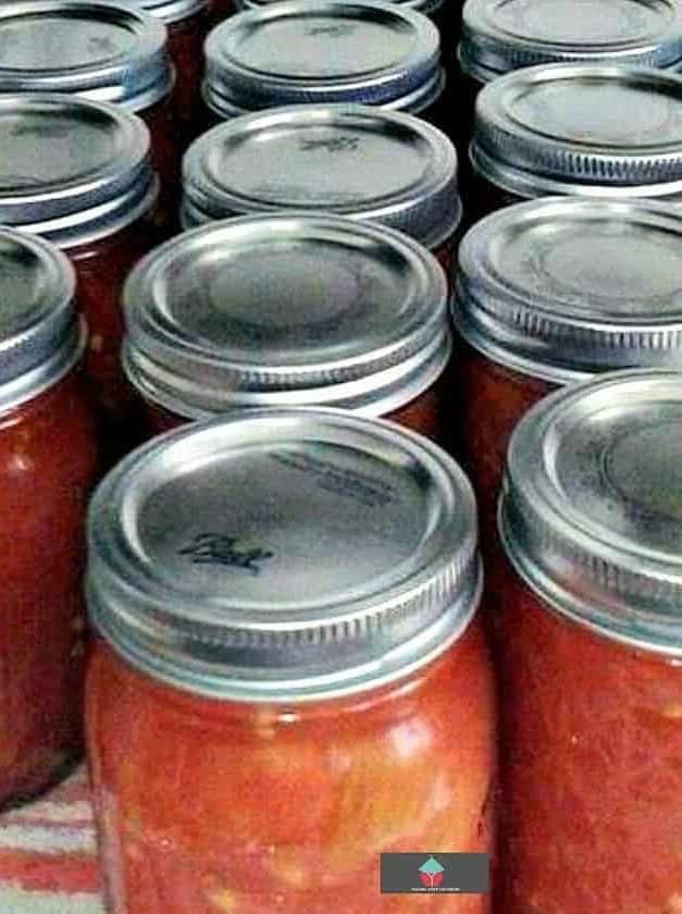 Old Fashioned Canned Tomatoes