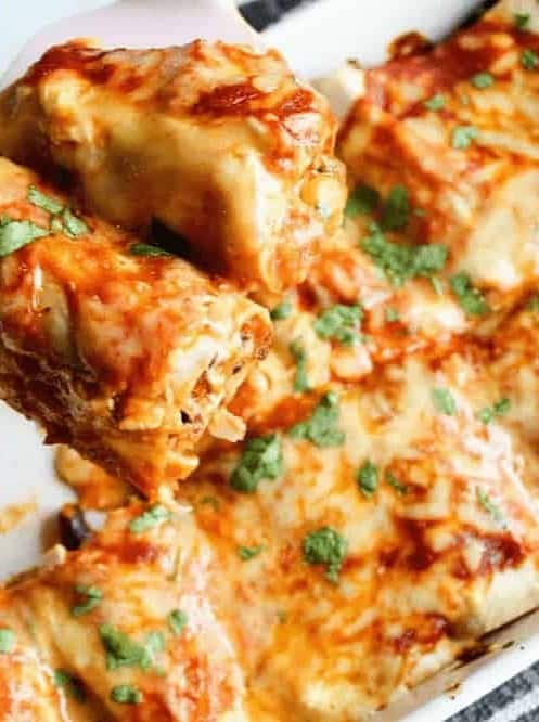 Healthy Chicken Enchiladas