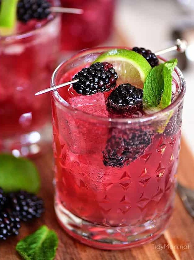 Sangria Mexican Mule