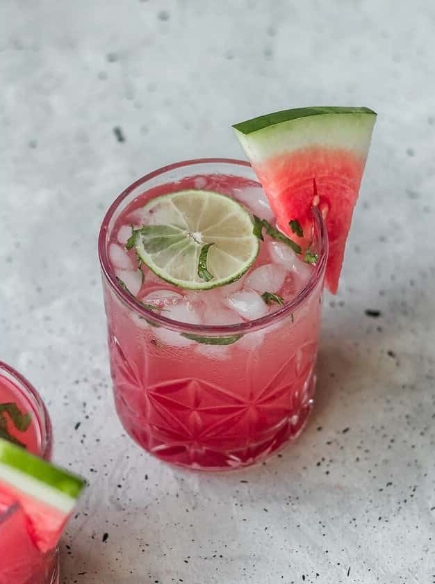 Watermelon Gin Fizz With Mint