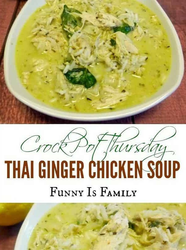 Crock Pot Thai Ginger Chicken Soup