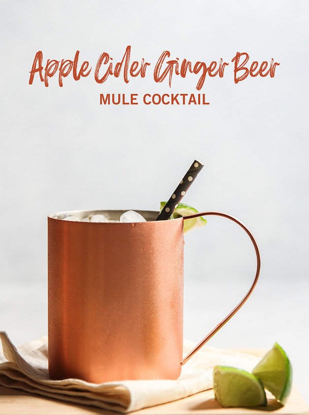 Apple Cider Ginger Beer Mule Cocktail