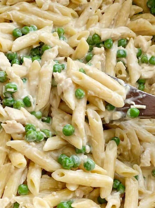 One Pot Chicken Alfredo Pasta