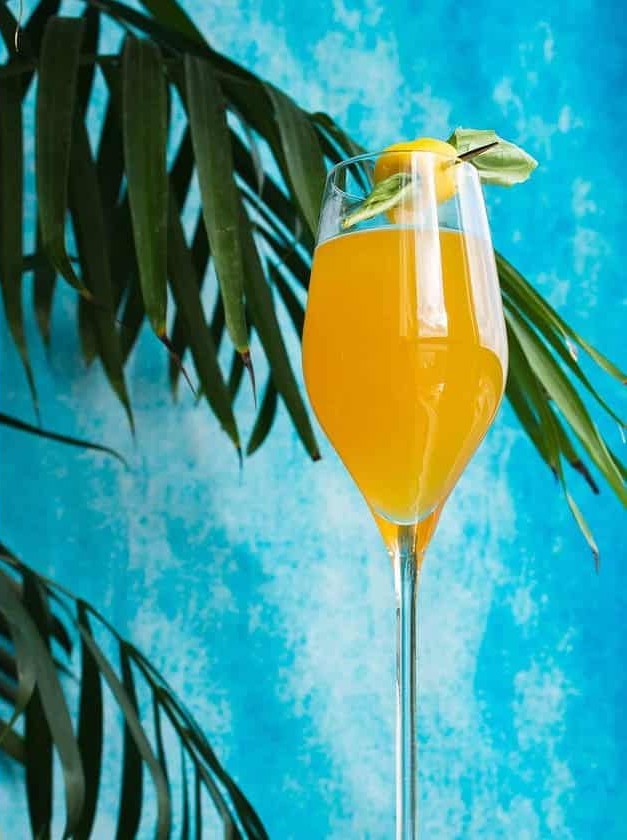 Mango Basil Shrub Sparkler