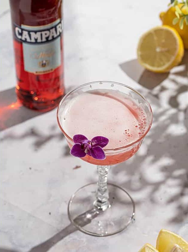 Campari & Elderflower Gin Sour