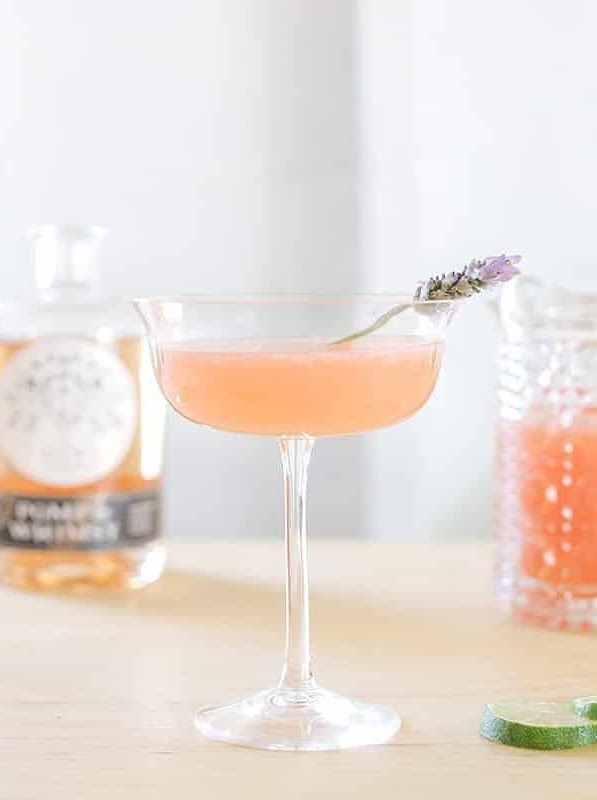 Whippet Cocktail