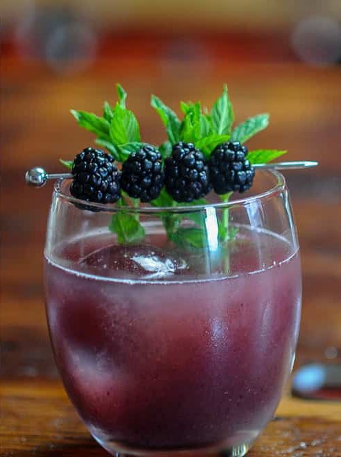 Honey Blackberry Shrub