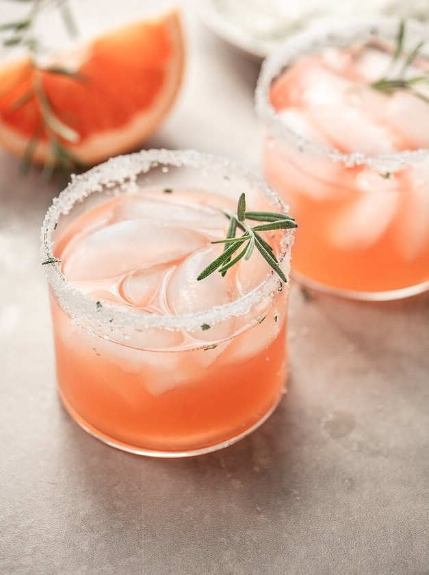 Italian Greyhound Cocktail