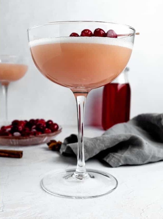 Spiced Gin Fizz With Cranberry and Orange