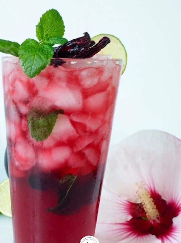 Hibiscus Mojito