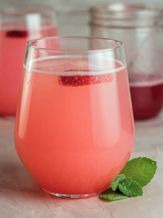 Strawberry Rhubarb Spritzer