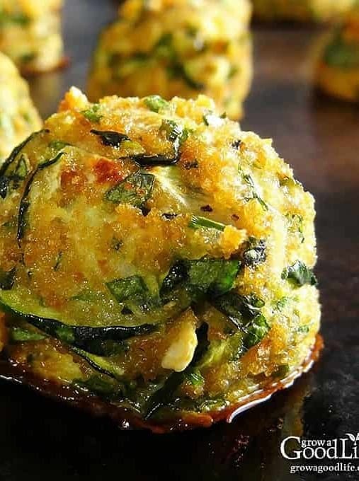 Zucchini Garlic Bites