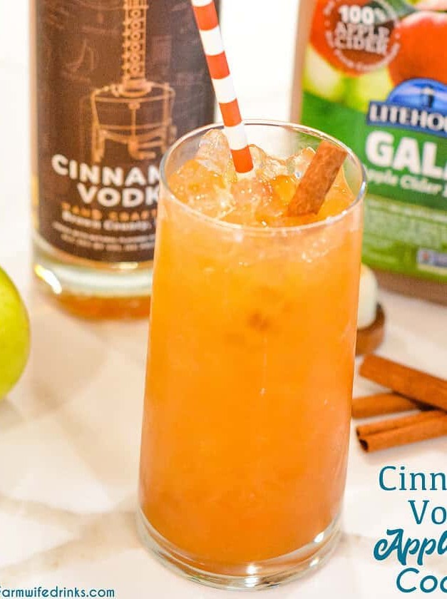 Cinnamon Vodka Apple Cider Cocktail