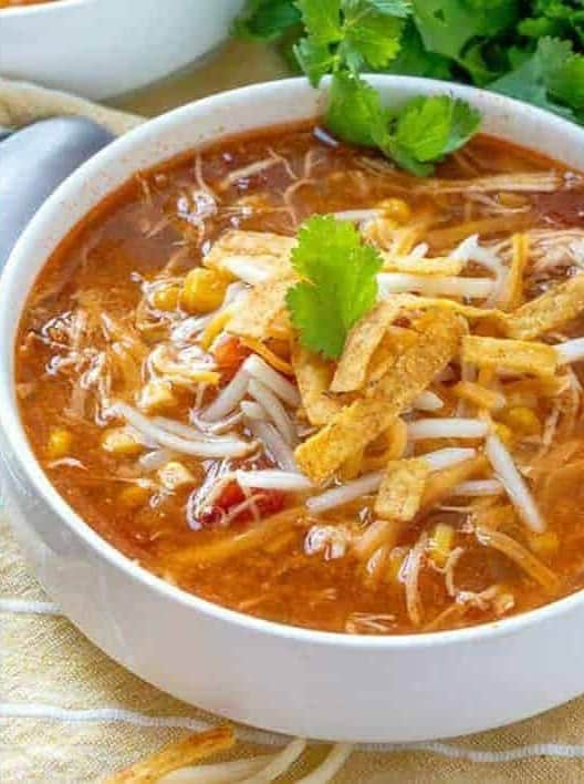 Crock Pot Chicken Tortilla Soup