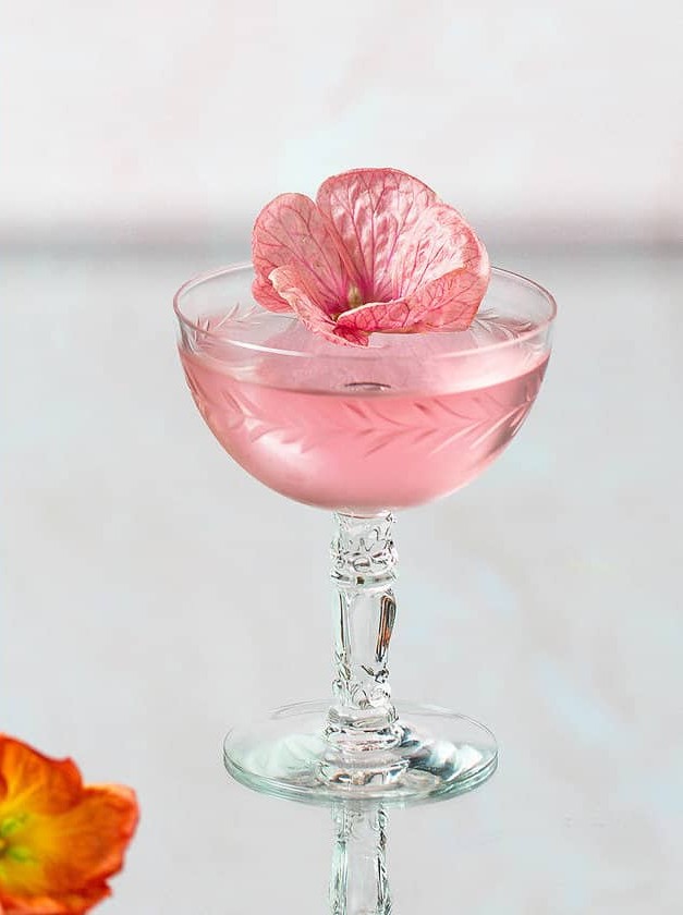 Hibiscus Martini