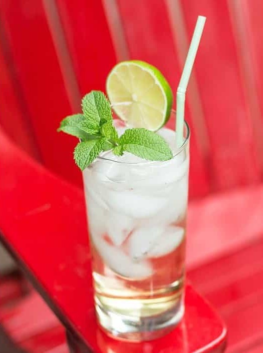 Prosecco and Elderflower Spritzer