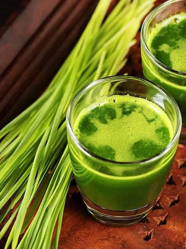 Wheatgrass Shot