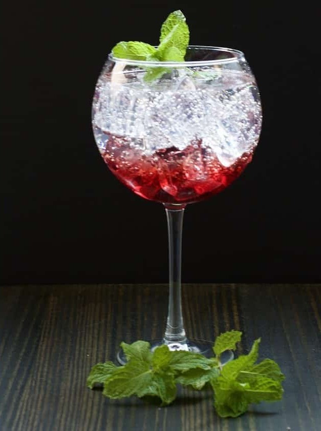 Pomegranate Gin and Tonic