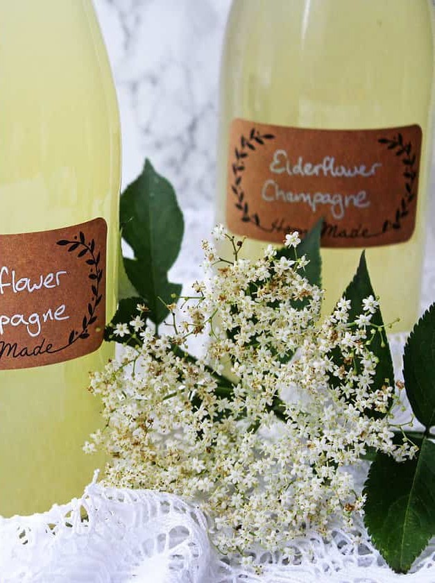 Elderflower Champagne