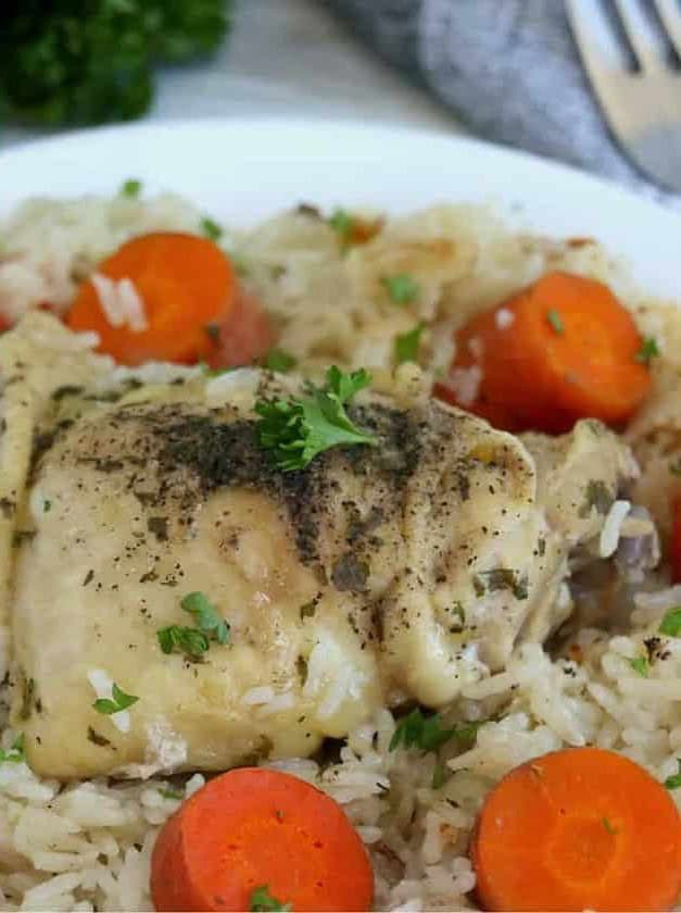 Instant Pot Frozen Chicken and Rice