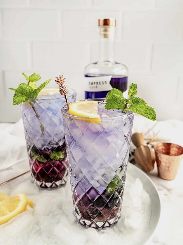 Blueberry Gin Mojito