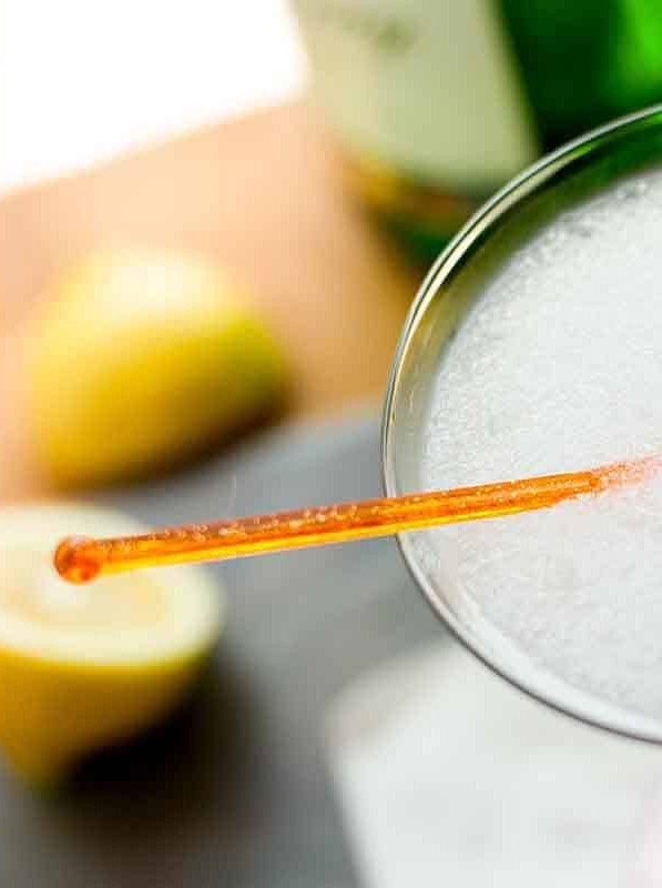 Frozen Gin Fizz