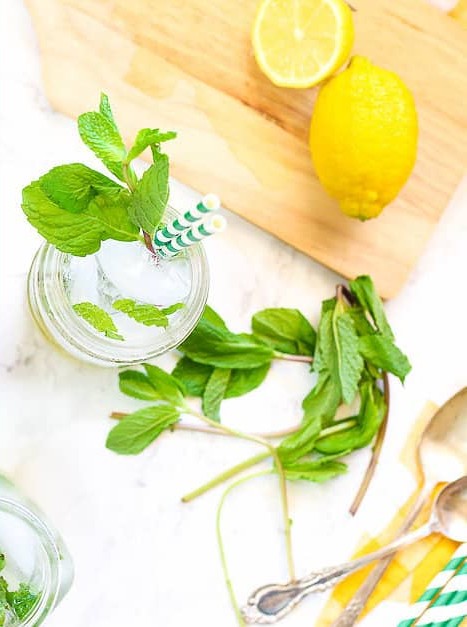 Lemonade Mint Julep