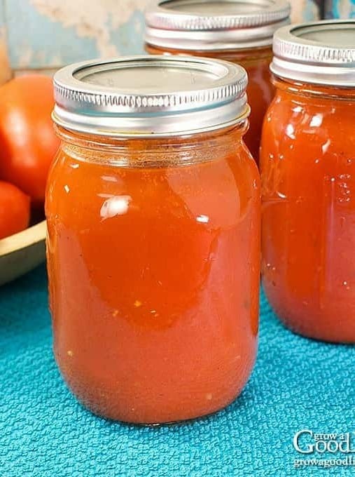 Seasoned Tomato Sauce