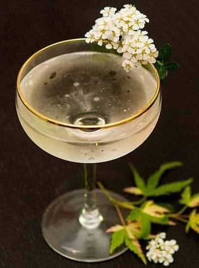 Sparkling Elderflower Cocktail