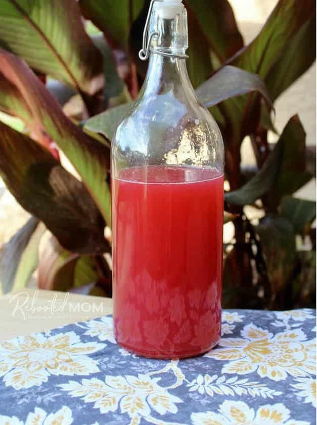 Homemade Rhubarb Syrup