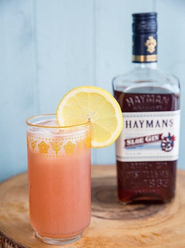 Sloe Gin Fizz