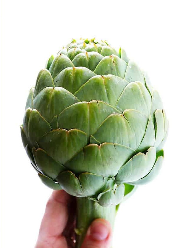 Artichoke