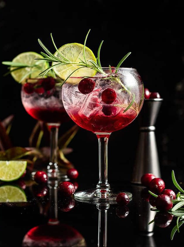 Cranberry Gin and Tonic