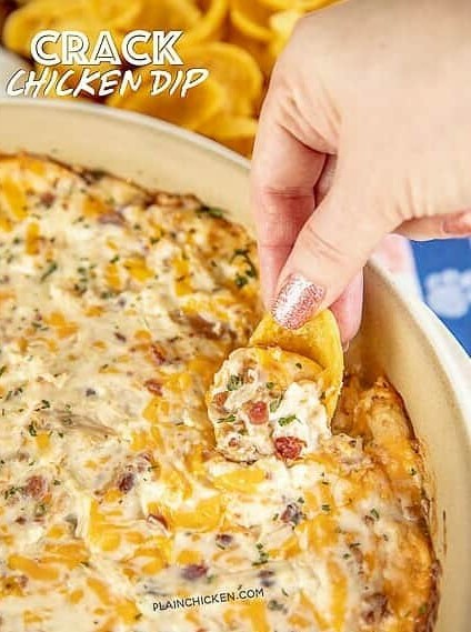 Warm Crack Chicken Dip