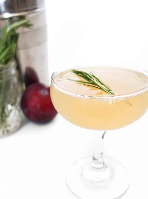 Plum & Rosemary Daiquiri