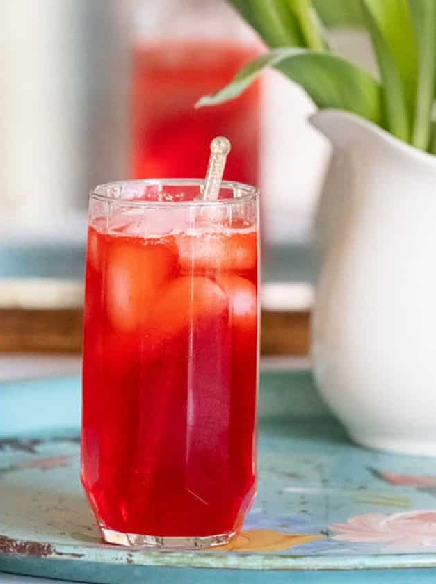 Sloe Gin Fizz