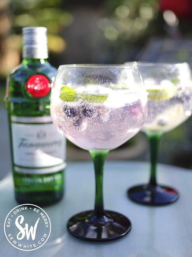 Blueberry Gin and Tonic