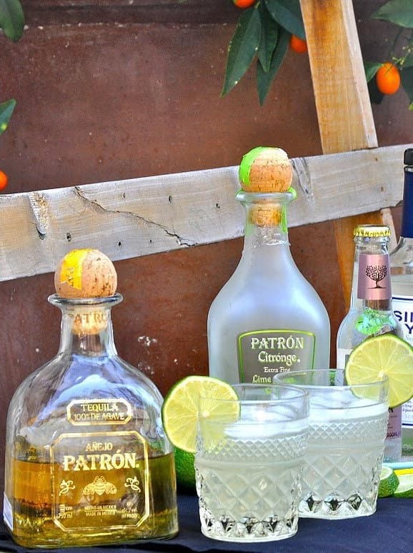 Patron Skinny Margarita