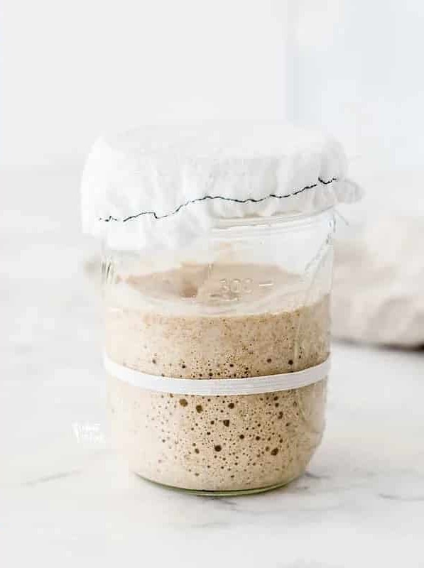 Gluten Free Sourdough Starter