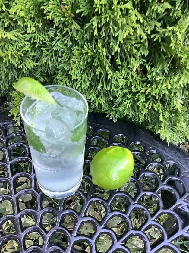 Gin Mojito