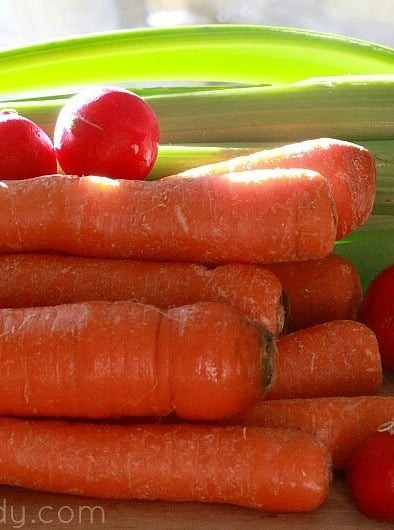 Zesty Homemade Vegetable Juice Cocktail