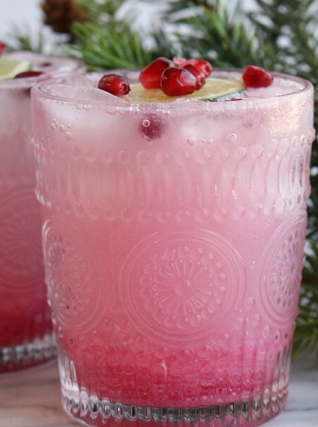 Pomegranate Gin Fizz Cocktail