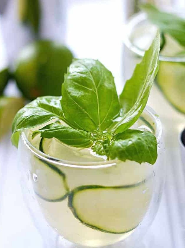 Cucumber Basil Gin and Tonic