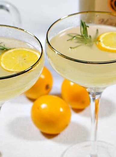 Meyer Lemon Vodka Fizz