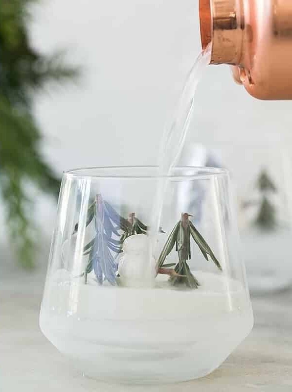 Rosemary Gin Fizz Cocktail