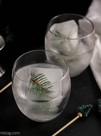 Mountain Pine Gin and Tonic