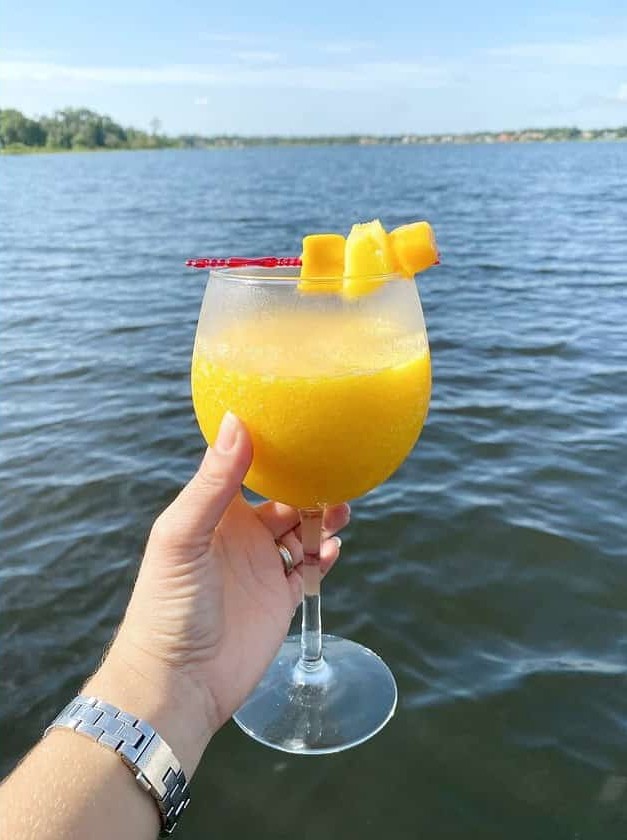 Fruity White Wine Slushies