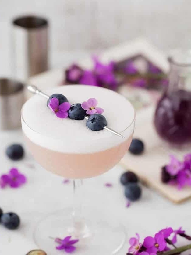 Violet Blueberry Gin Sour